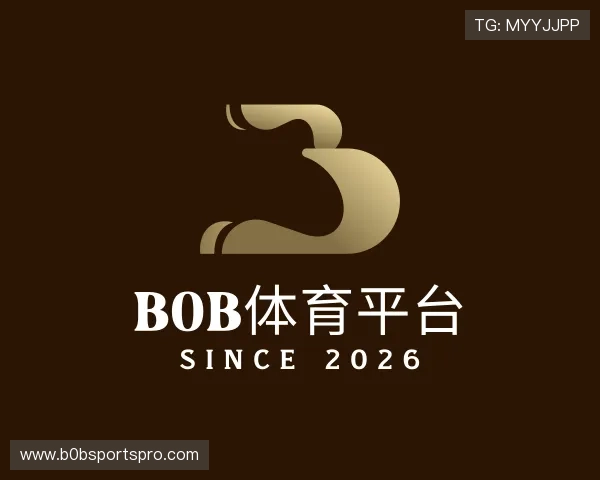 关于b0b体育平台